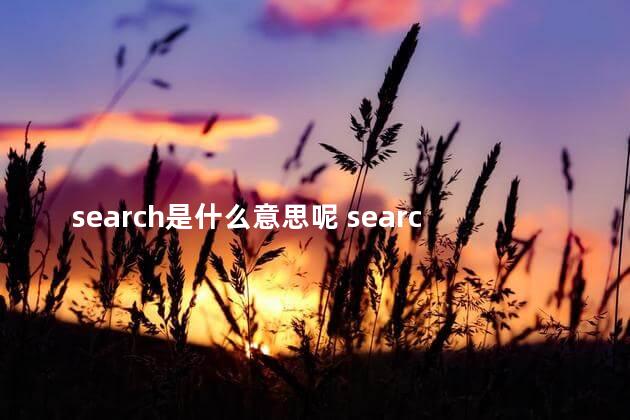 search是什么意思呢 search是什么意思中文